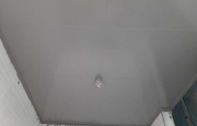 天井塗装 (2)
