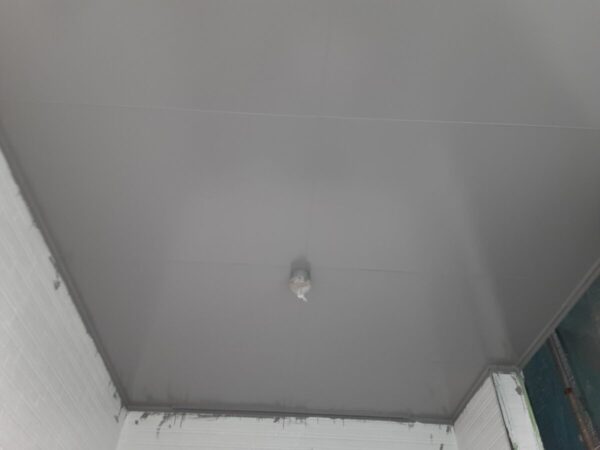 天井塗装 (2)